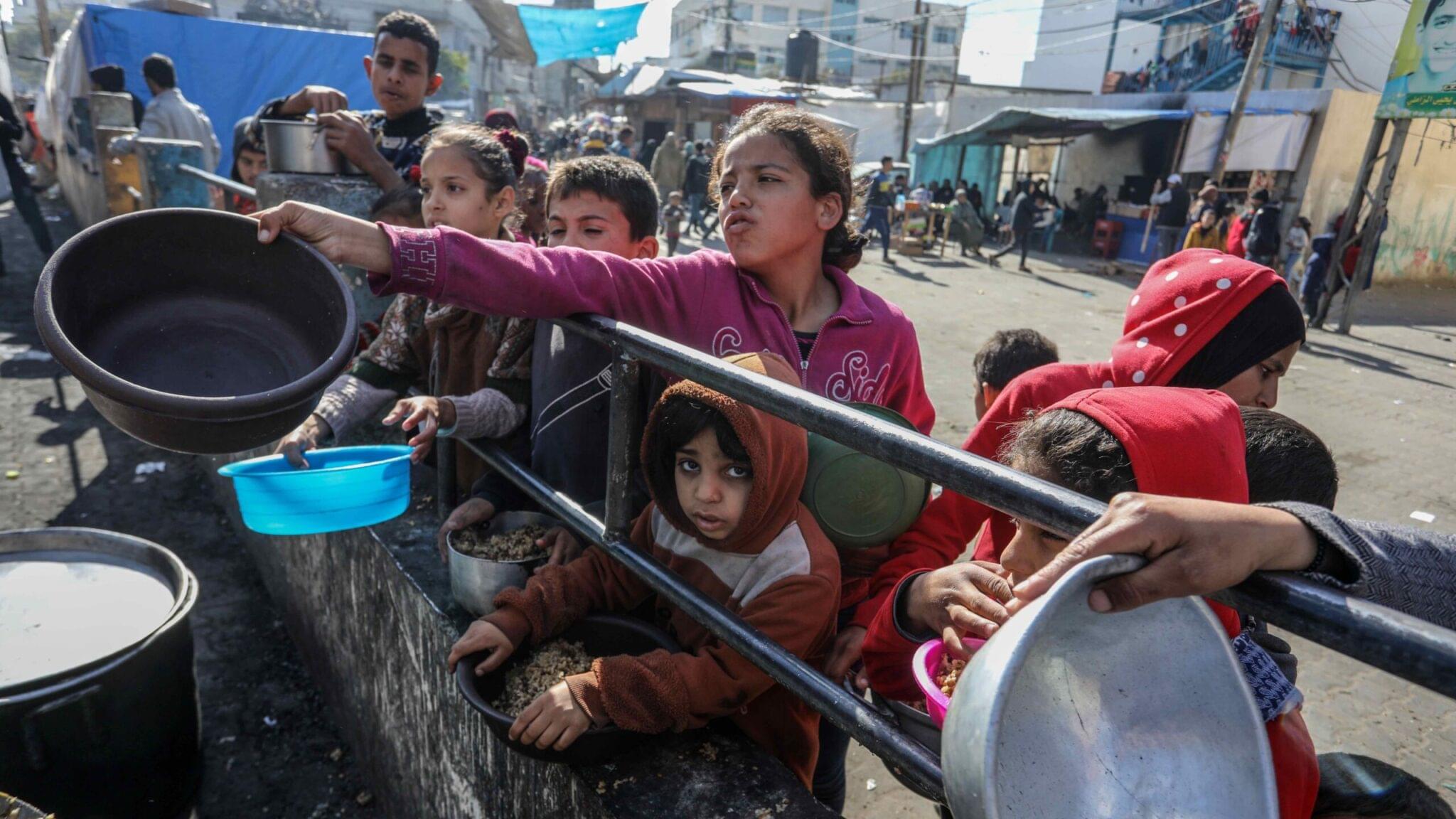 Food Aid (راشن امداد) - Image 2